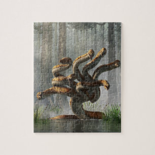 Hydra Legpuzzel
