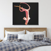 Hydra Littoralis Canvas Afdruk (Insitu (Slaapkamer))