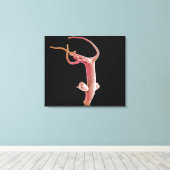 Hydra Littoralis Canvas Afdruk (Insitu (Houten vloer))