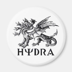Hydra Magneet