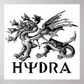 Hydra Poster (Voorkant)