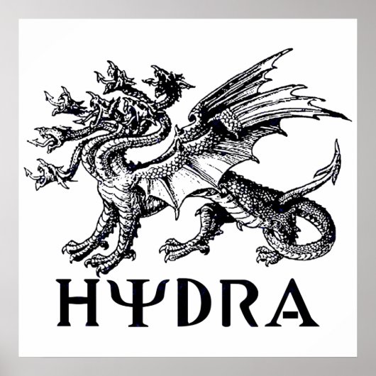 Hydra Poster (Voorkant)