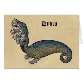 Hydra Zee Serpent Notecards