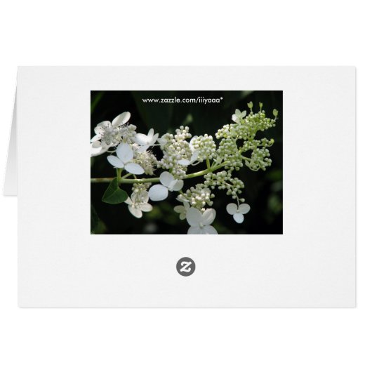 Hydrangea (Achterkant Horizontaal)