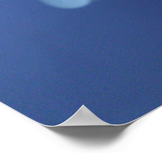 Hydrangea 11 poster (Hoek)