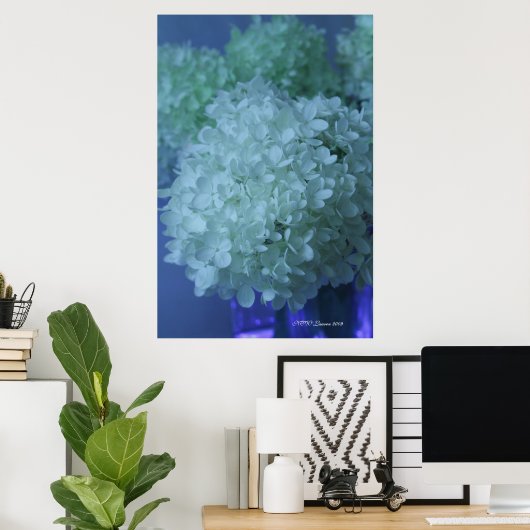 Hydrangea 11 poster (Thuiskantoor)