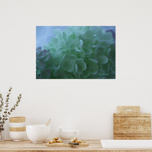 hydrangea 1 poster (Keuken)