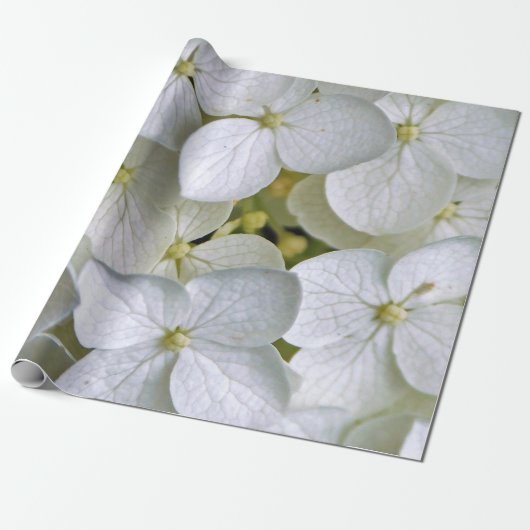 Hydrangea 6775 Verpakkingspapier Cadeaupapier (Uitgerold)