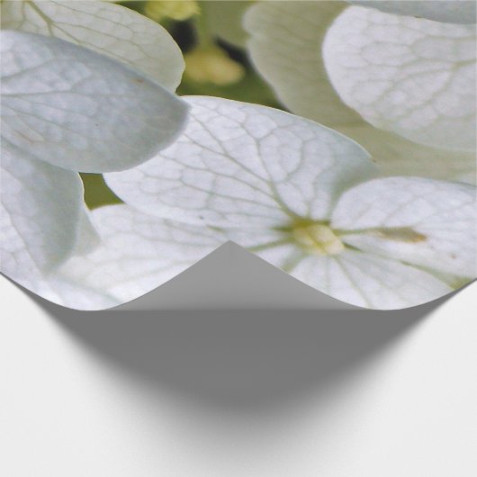 Hydrangea 6775 Verpakkingspapier Cadeaupapier (Hoek)