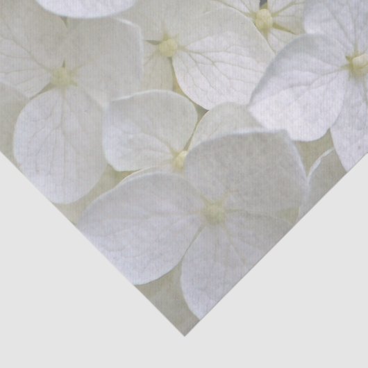 Hydrangea 6775 Weefselpapier Tissuepapier (Detail)