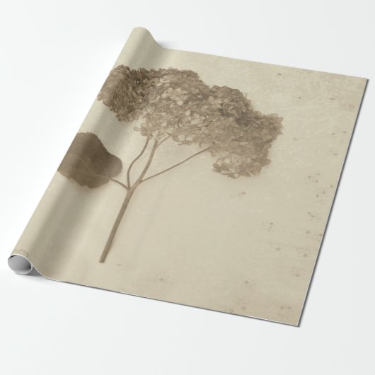Hydrangea Antiek Sepia Rustic Floral Cadeaupapier (Uitgerold)