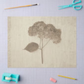 Hydrangea  Antiek Sepia Rustic Floral Tissuepapier (Craft)