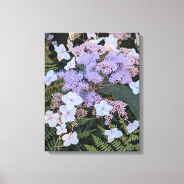 Hydrangea Aspera Bloemen Bloemen Canvas Afdruk