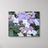 Hydrangea Aspera Bloemen Bloemstuk Canvas Afdruk (Voorkant)