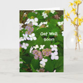 Hydrangea Aspera - Word snel gezond Kaart (Gele Bloem)