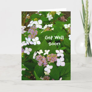 Hydrangea Aspera - Word snel gezond Kaart