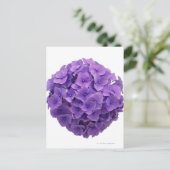 Hydrangea Ball Close-up Briefkaart (Staand voorkant)