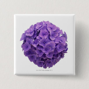 Hydrangea Ball Close-up Vierkante Button 5,1 Cm