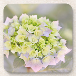 Hydrangea Bier Onderzetter