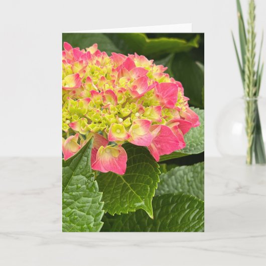 Hydrangea Blank Note Kaart (Voorkant)