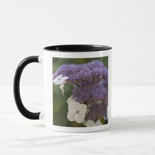 Hydrangea bloeit, Dr. Sun Yat-Sen Chinese tuin Mok (Links)