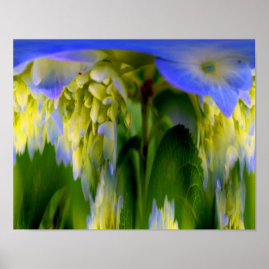 Hydrangea Bloem Fantasie Bloemrijke Abstract Poster (Voorkant)
