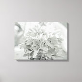 Hydrangea bloem in zwart en wit - meestal wit canvas afdruk (Voorkant)