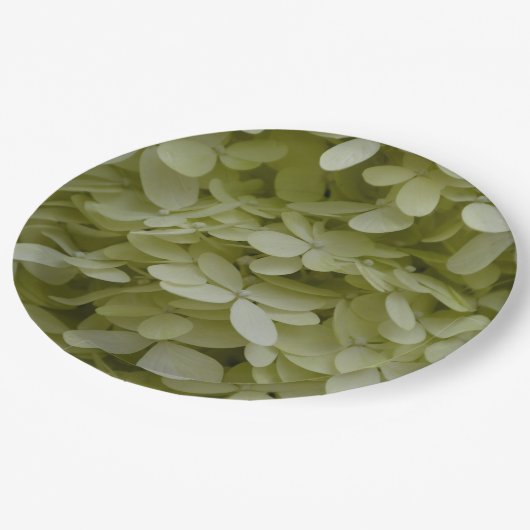 Hydrangea Bloemen Celadon Groen Papieren Bordje (Gekanteld)