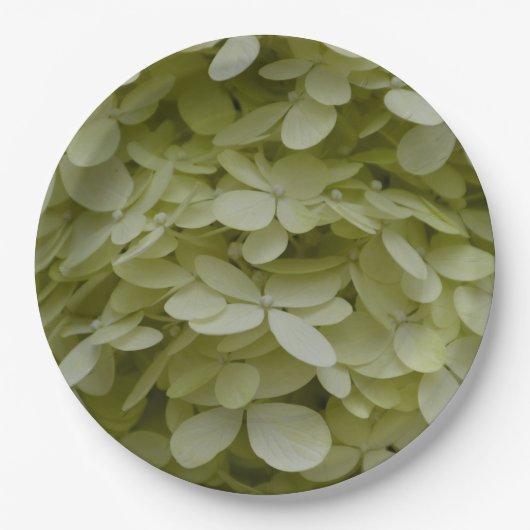 Hydrangea Bloemen Celadon Groen Papieren Bordje (Voorkant)