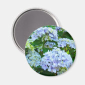 Hydrangea Bloemen magneet geschenken Blauw Groen t (Voorkant / Achterkant)