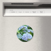 Hydrangea Bloemen magneet geschenken Blauw Groen t (Insitu (Vaatwasser))