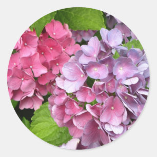 Hydrangea Bloemen Stickers