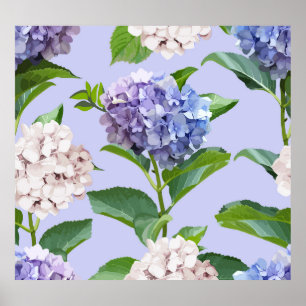 Hydrangea bloemen: veelkleurige bloemige textuur. poster
