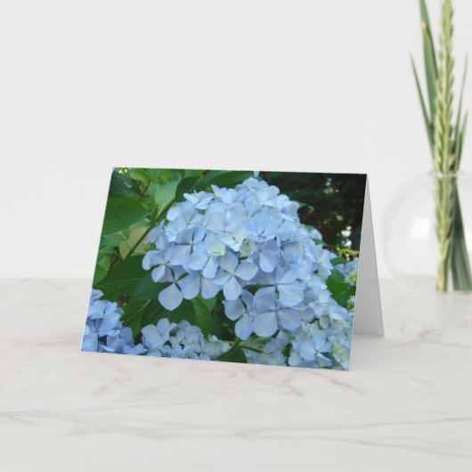 Hydrangea Bloemkaarten Blauwe Hydrangea Tuin Bedankkaart (Voorkant)