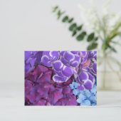 Hydrangea bloesems briefkaart (Staand voorkant)
