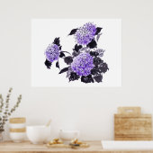 Hydrangea bloessuma poster (Keuken)