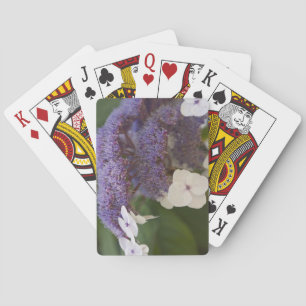 Hydrangea bloom, Dr Sun Yat-Sen Chinese tuin Pokerkaarten