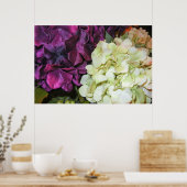 Hydrangea Blooms in donker Paars en wit Poster (Keuken)