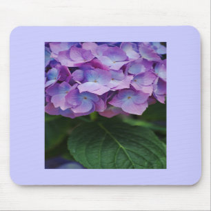 Hydrangea Blooms Mousepad Muismat