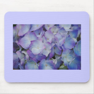 Hydrangea Blooms Muismat