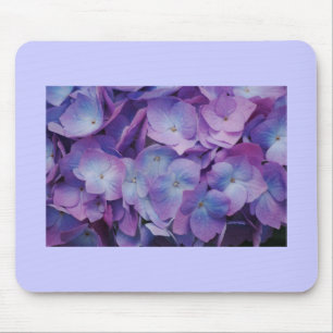 Hydrangea Blooms Muismat