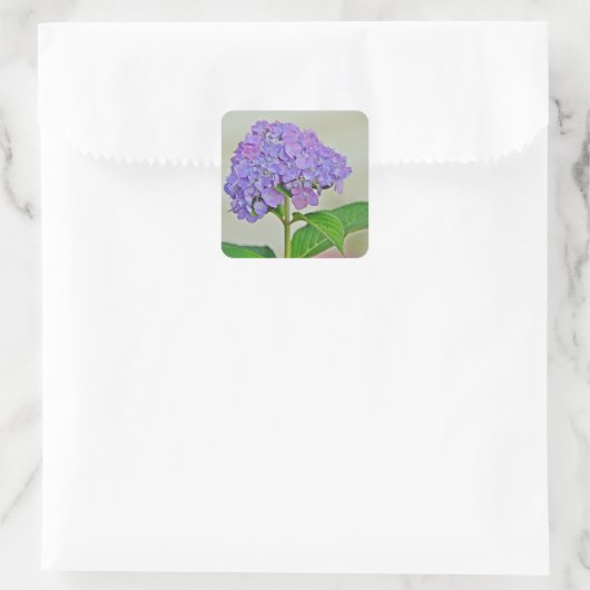 Hydrangea Blossom Sticker (Tas)