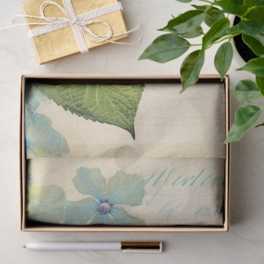 Hydrangea Blue Dream ephemera Tissuepapier (Geschenk)