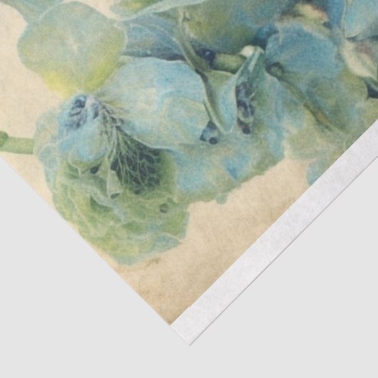 Hydrangea Blue Dream ephemera Tissuepapier (Detail)