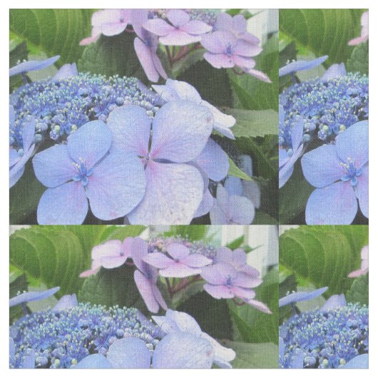 Hydrangea Blue Paarse  ventilator Stof (Close Up)