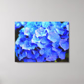 Hydrangea Blues Canvas Afdruk (Voorkant)