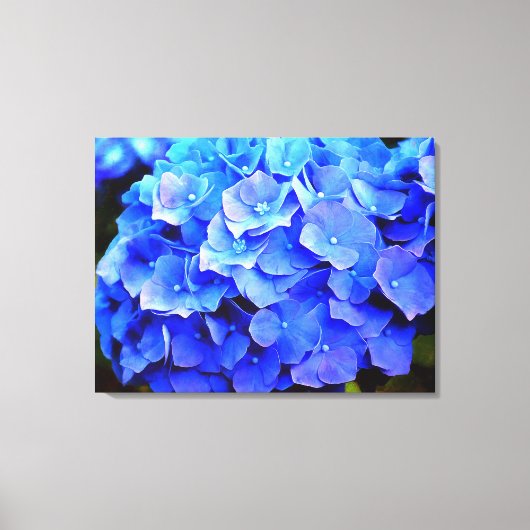 Hydrangea Blues Canvas Afdruk (Voorkant)