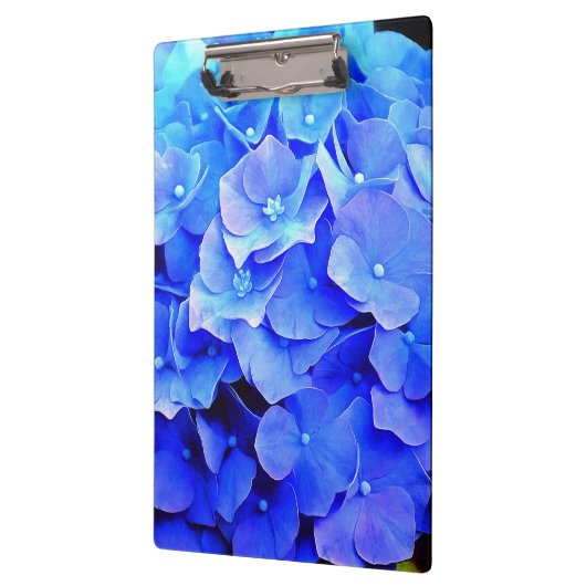 Hydrangea Blues Klembord (Links)