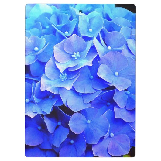 Hydrangea Blues Klembord (Achterkant)