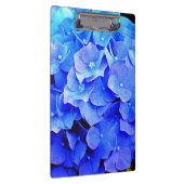 Hydrangea Blues Klembord (Rechts)
